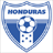 ホンジュラスサッカー協会旗