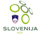 スロベニアサッカー協会旗